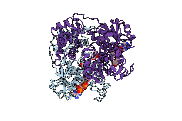 8JB1 image