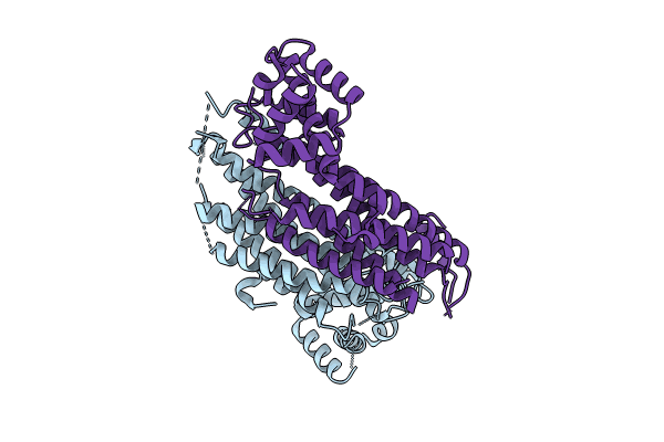 8JBD image
