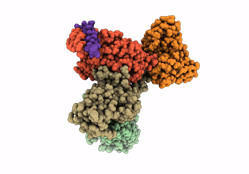 8JBF image
