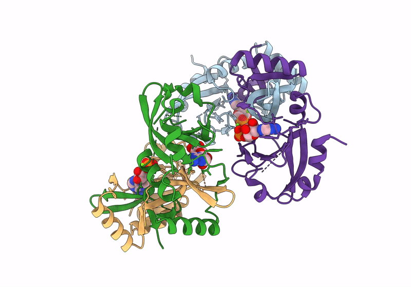 8JBI image