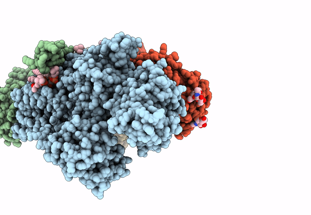 8JBM image