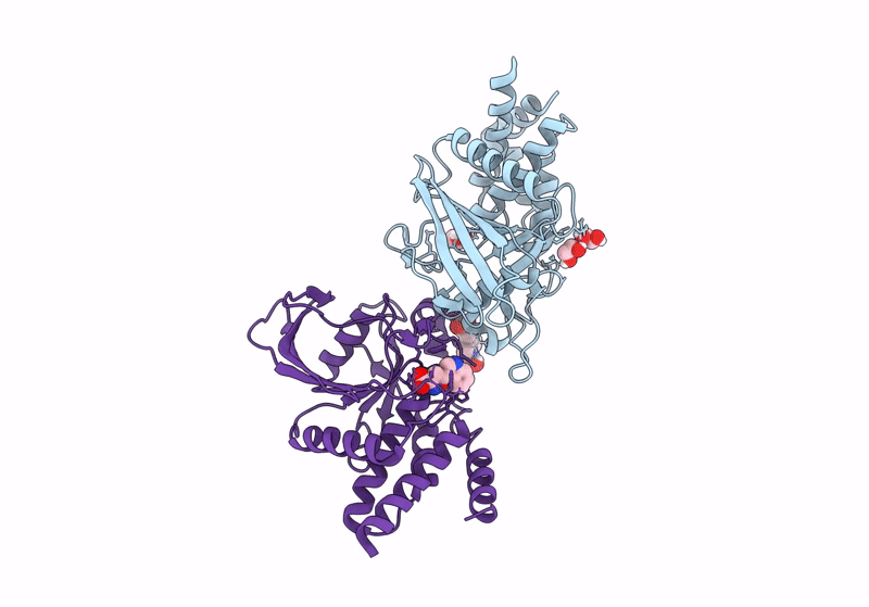 8JBN image