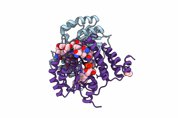 8JBT image