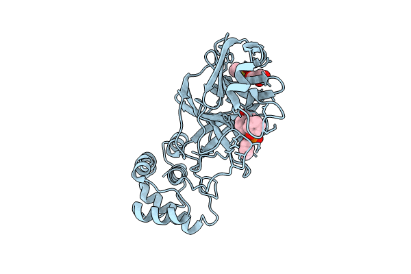 8JCN image