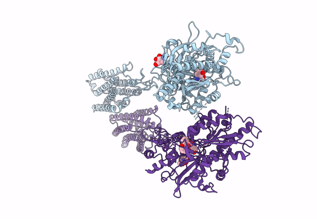 8JCV image
