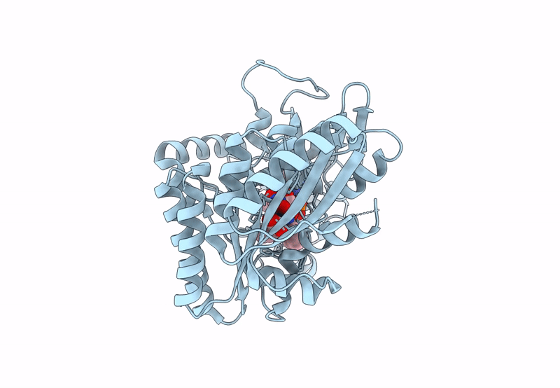 8JDG image