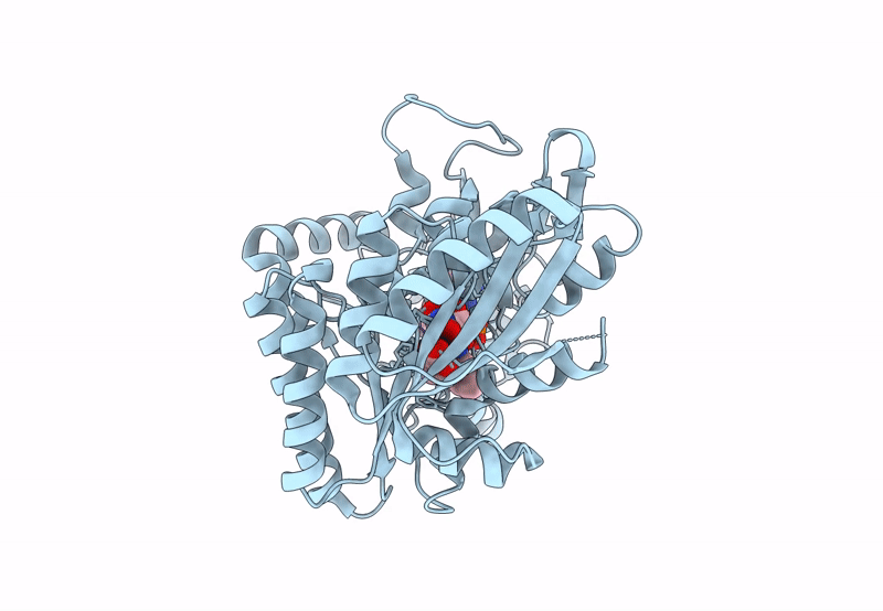8JDS image