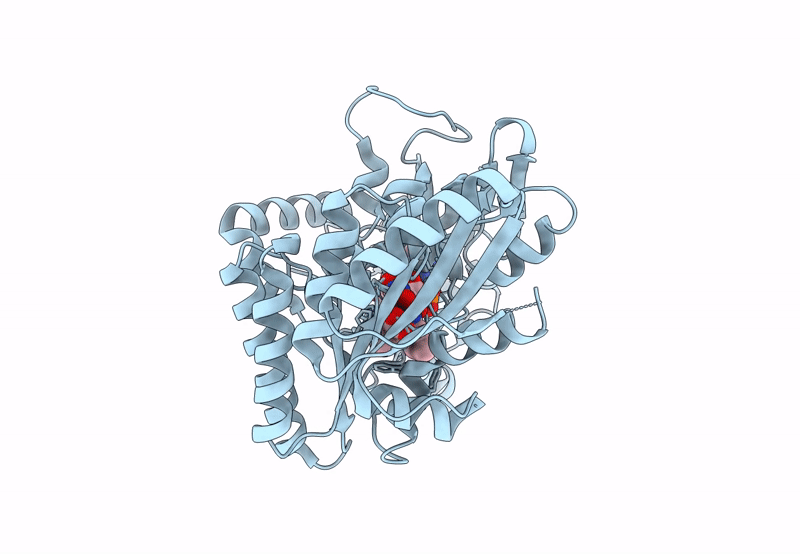 8JDX image