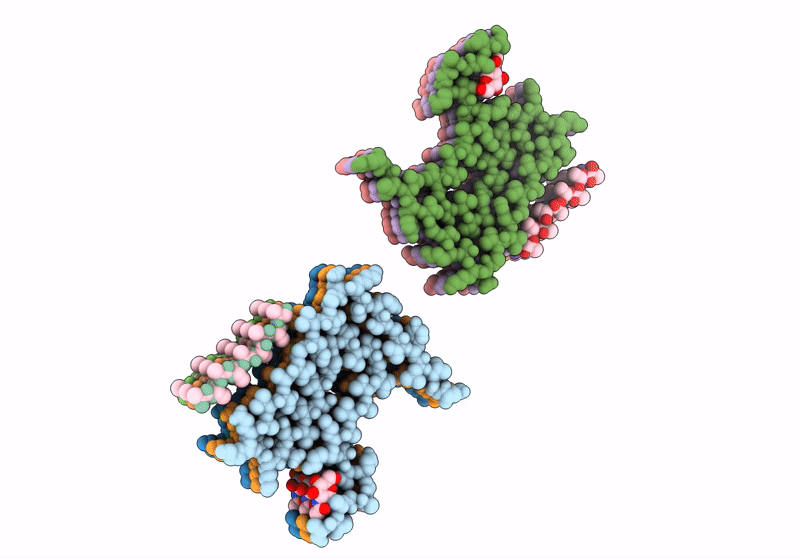8JEX image