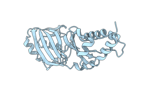 8JFX image