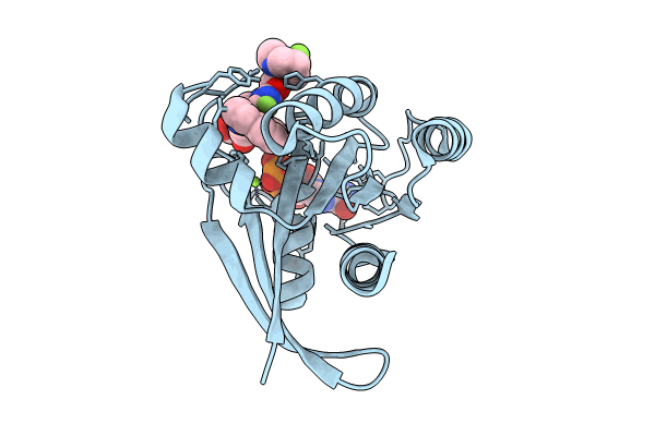 8JHL image