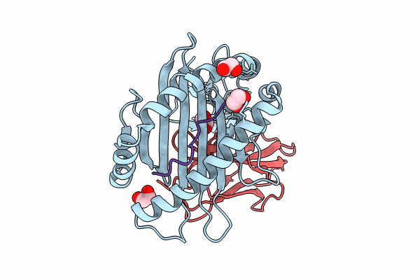 8JHW image