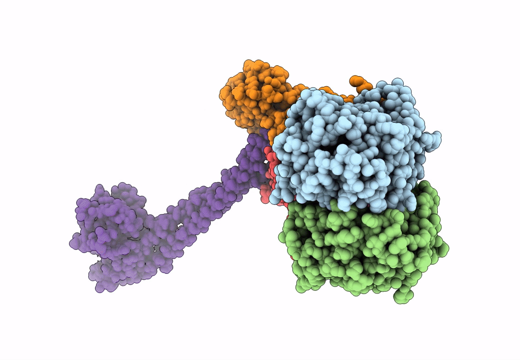 8JIA image