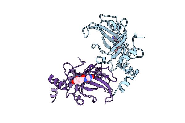 8JIG image