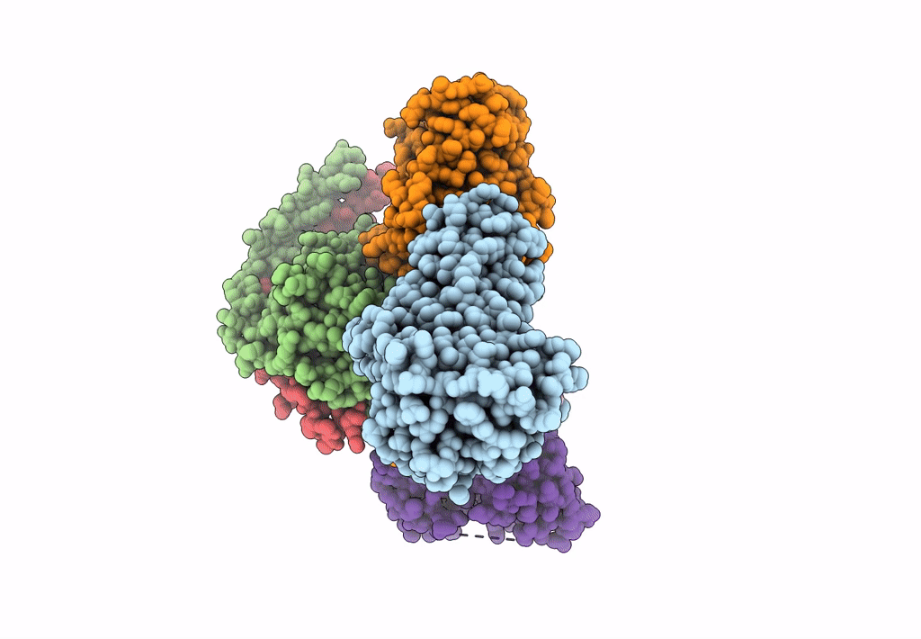 8JII image