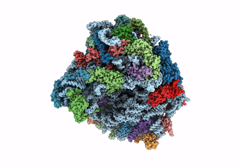 8JIV image