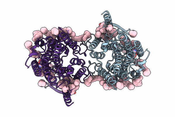8JKV image