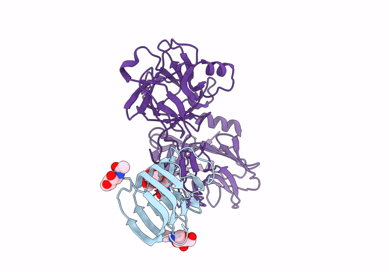 8JLE image