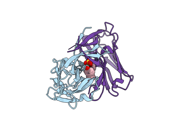 8JMR image