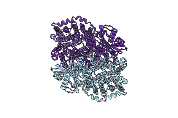 8JNJ image