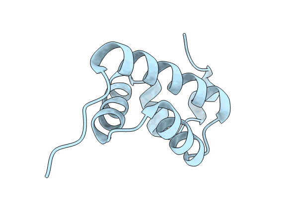 8JNT image