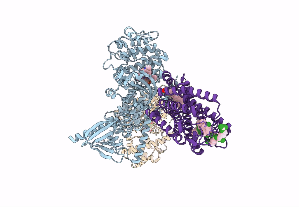 8JPB image