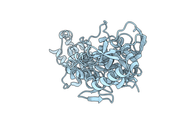 8JPV image