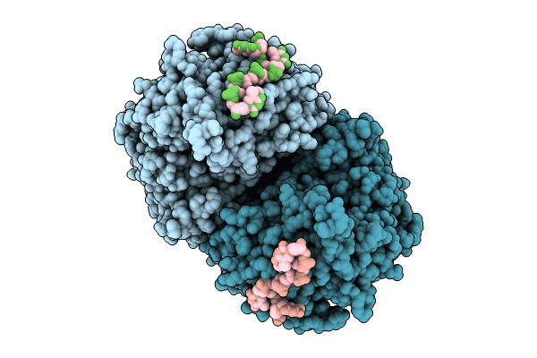 8JPX image