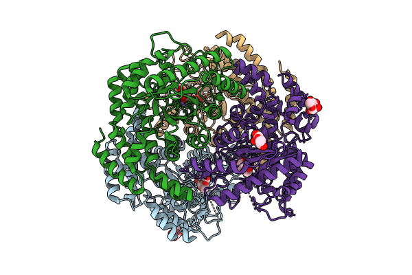 8JQ4 image