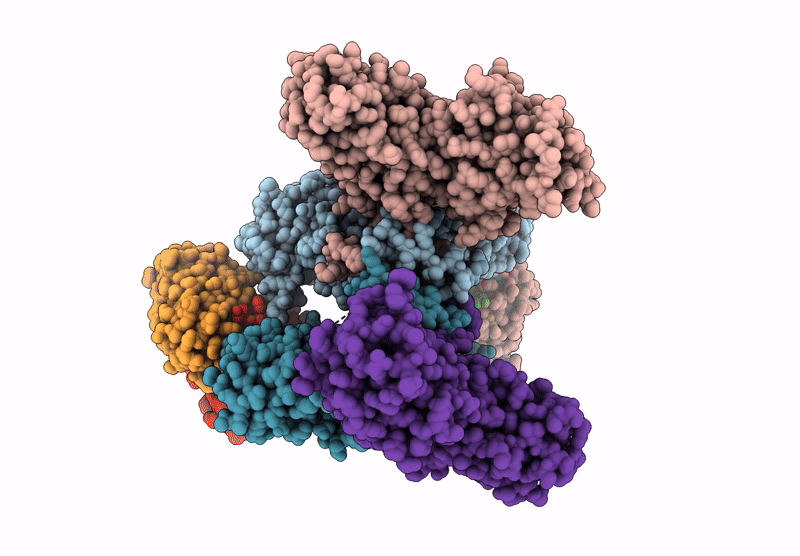 8JQM image