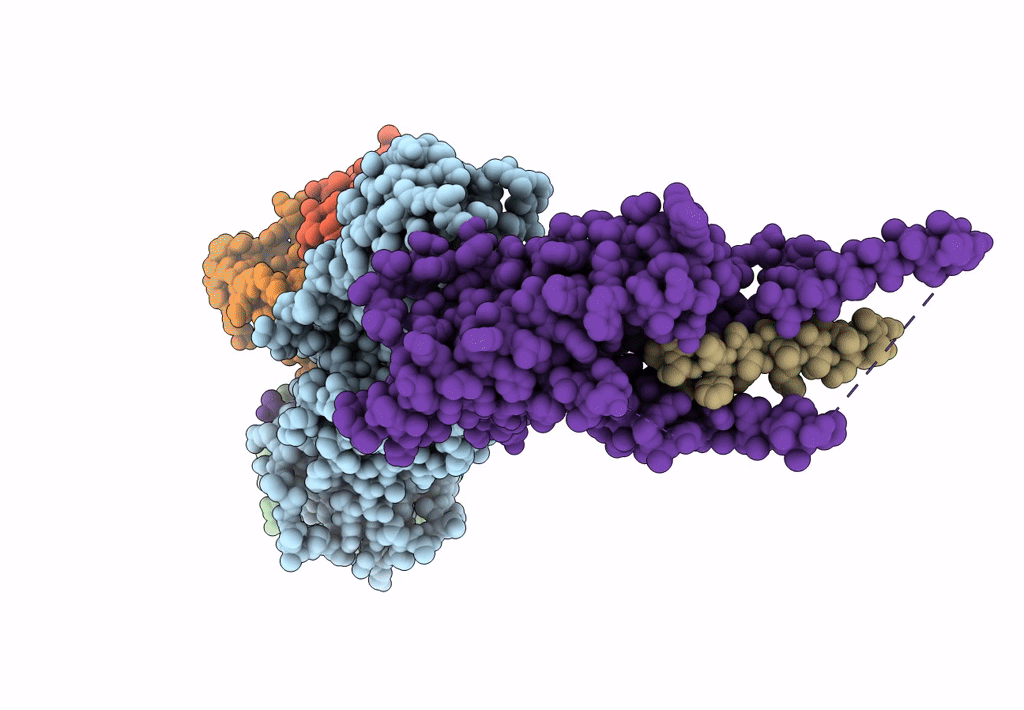 8JRV image