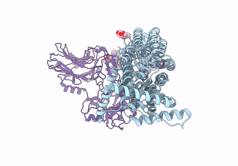 8JS9 image