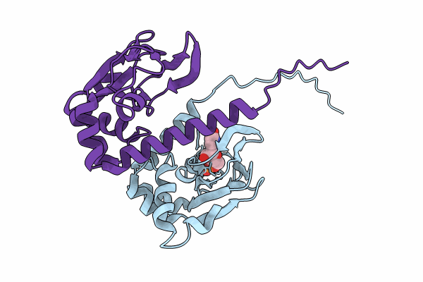 8JSK image