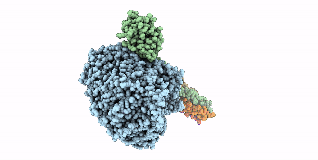 8JSL image