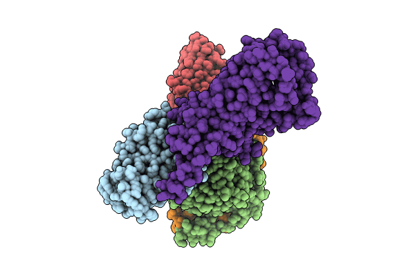 8JSP image