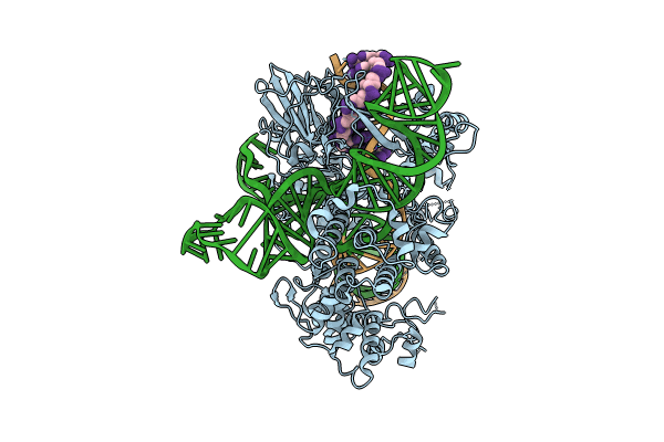 8JTJ image
