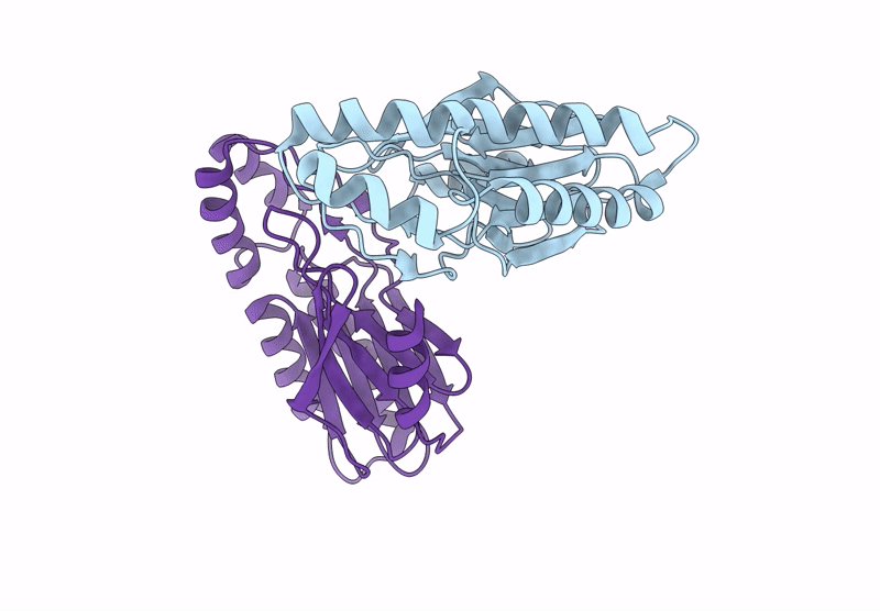 8JTU image