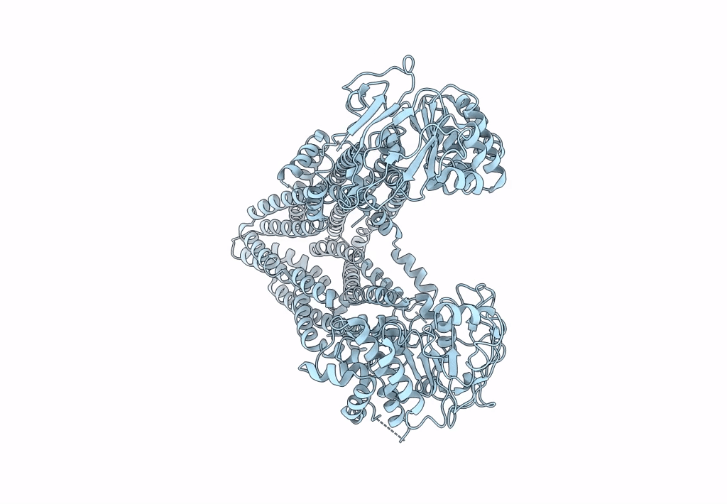 8JVH image