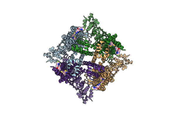 8JVI image