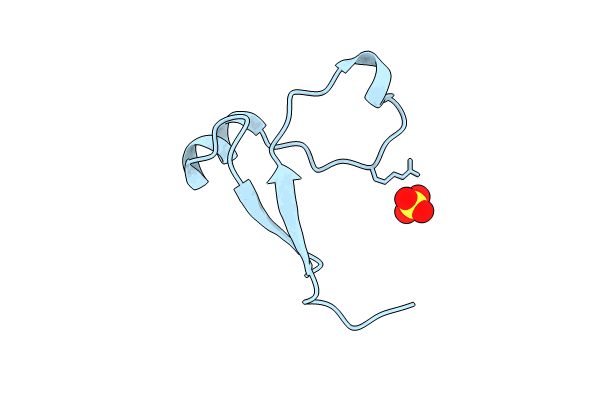 8JVP image