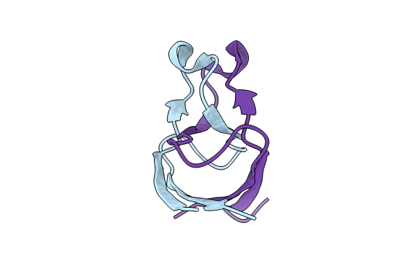 8JVX image
