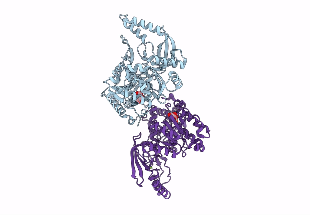 8JX6 image