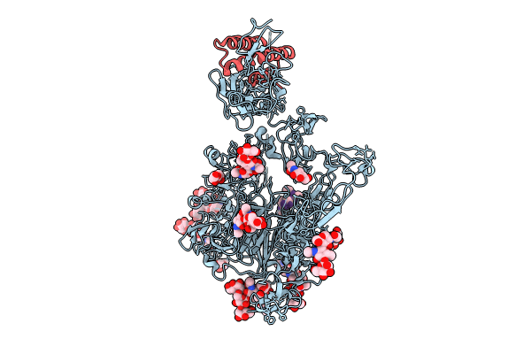 8JXG image