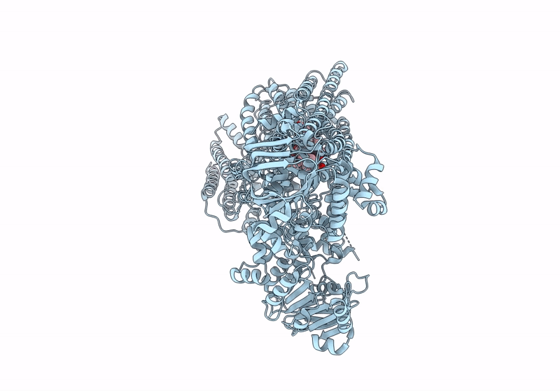 8JXQ image
