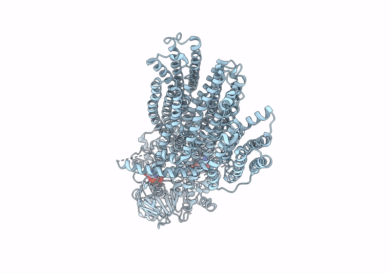 8JXU image