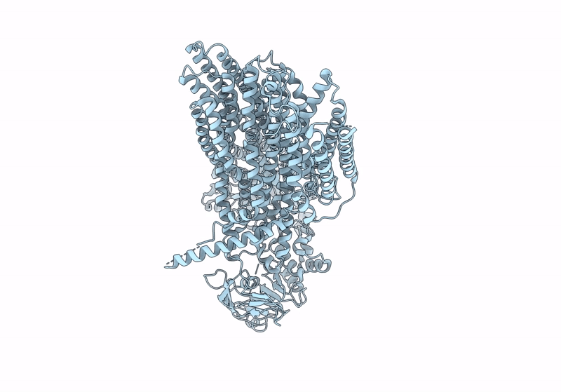 8JY4 image