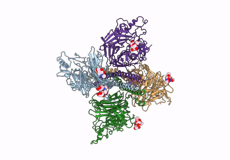 8JZB image