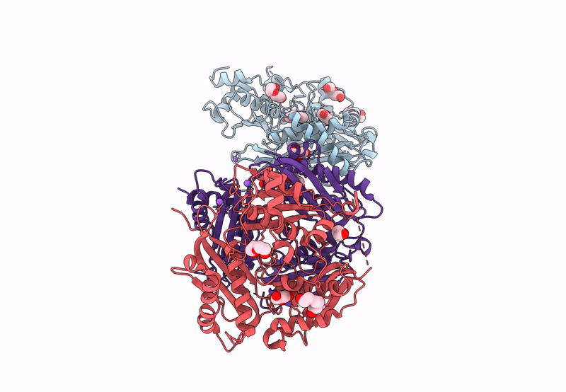 8JZH image