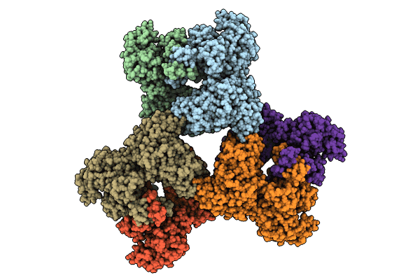 8JZO image