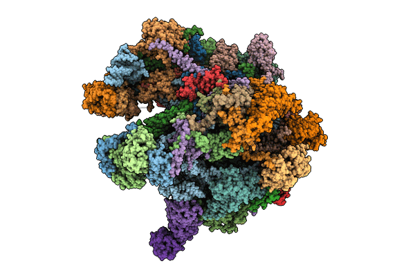 8K2B image